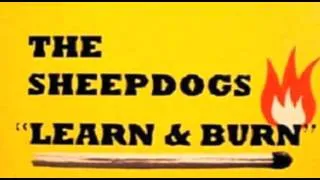 The Sheepdogs - Learn & Burn