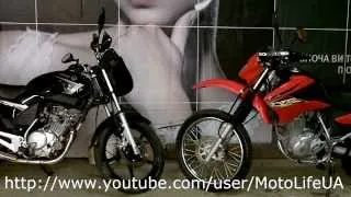 Сравнение Honda XR125L vs Yamaha YBR125