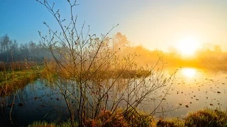 ХОР РУССКАЯ ДУША - ЗА ТИХОЙ РЕКОЮ