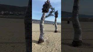 Auswandern nach Bulgarien Immobilien kaufen Sonnenstrand Burgas Nessebar Deutsche in Bulgarien