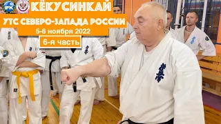 Кёкусинкай / Учебно-тренировочные сборы СЗФО-2022 / Цуки но ката / Сихан Танюшкин