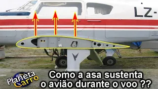 Como as asas sustentam o avião durante o voo ?? - Dica # 1.438