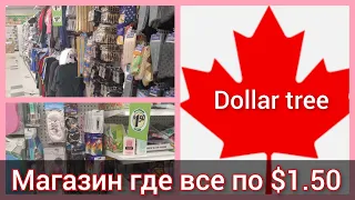 Как экономить в Канаде. Поход в магазин, где все по $1.50. Поход в Dollar Tree. Канада иммиграция