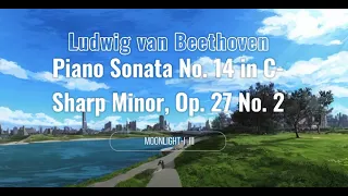 Ludwig van Beethoven's Piano Sonata No. 14 in C-Sharp Minor, Op. 27 “月光奏鳴曲”( 維也納多瑙河畔)