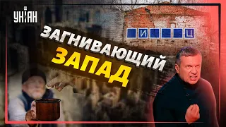 Как загнивает Запад в сюжетах российских пропагандистов