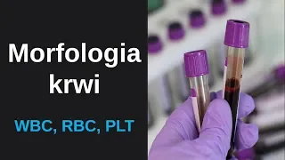 Blood count -leukocytes (WBC),erythrocytes (RBC) and thrombocytes/platelets (PLT) |English subtitles