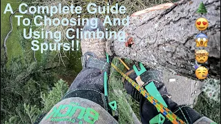 EVERYTHING You Need To Know About Tree Climbing Spurs! A Complete Guide to Choosing and Using Spurs!