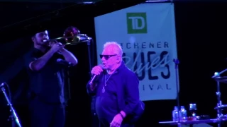 Eric Burdon & The Animals - Mama Told Me Not To Come - Live Kitchener Blues Festival 2016