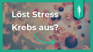 Ist Stress ein Auslöser für Krebs? 🩺  Behandlung | Dr. med. Henning Saupe