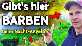 Angeln auf BARBE und KARPFEN im April