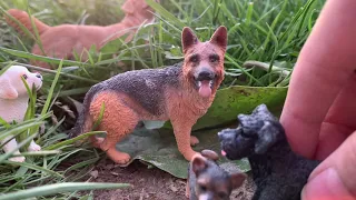 Dog Pack (dog story) schleich)