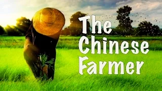 Alan Watts: The Chinese Farmer