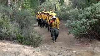 samoan wildfire team--western US