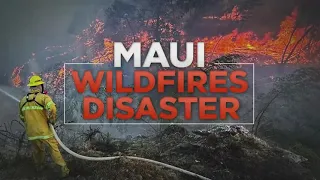 Maui Wildfire Update: