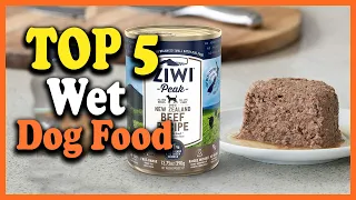 ✅Top 5 Best Wet Dog Food in 2023