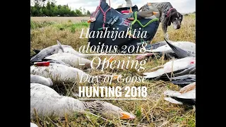 Hanhijahdin aloitus 2018 - Opening Day of Goose Hunting 2018