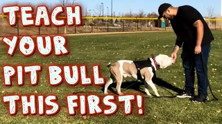 Teach Your Pit bull this first! (obedience Training)