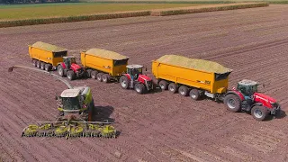 Mais 2022 : 2 of the Biggest USA Equipment CF2500 / Vreba Dairy / Claas Jaguar 990 / Maishäckseln 4K