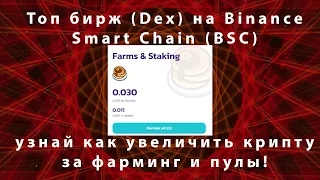 Топ бирж (Dex) на Binance Smart Chain (BSC) - узнай как увеличить крипту за фарминг и пулы!