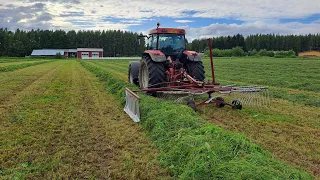 Karhotinkaupoilta tositoimiin