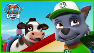 PAW Patrol Pups Rescue a Truck Stuck on a Bridge - PAW Patrol Rescue Episode - Cartoons for Kids