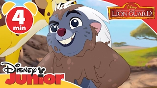 Lion Guard | Chungu and Cheez | Disney Junior UK