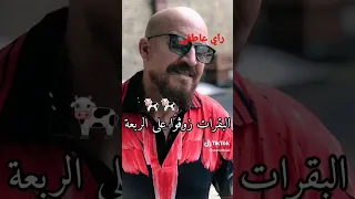 شاب بلال ❤️ عولت🇩🇿🇲🇦🇹🇳💯💯💯💯🔥🔥🔥