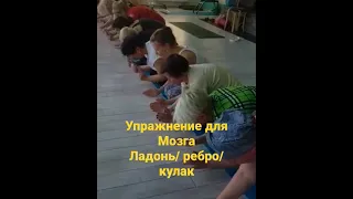 Упражнение для мозга Ладонь Ребро Кулак #superBrain #superbrainyoga