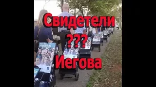 Свидетели Иегова? В чем отличие? Протоиерей Андрей Ткачёв