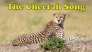 The Cheetah Song | Animal Songs for Kids | Fun Cheetah Facts for Kids | Silly School Songs 🎶