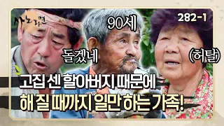 [사노라면] 282-1 한 번 시작한 일은 끝을 봐야하는 고집쟁이 할아버지 때문에 한여름에 해질 때까지 일만 하게 생긴 가족!