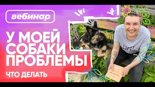 Бесплатный вебинар Насти Бобковой «У моей собаки проблемы. Что делать»  25 мая 2021