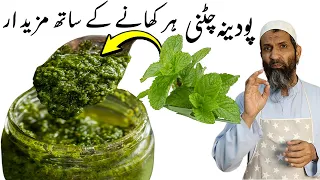 Mint Chutney: Refreshing and Delicious Recipe You Can't Resist!