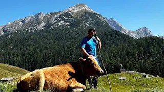 Einblicke in meinen Almsommer 2023 auf der Kallbrunn Alm