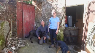 #24 - Emptying Our Old Stone Shed, Demolishing Walls & Gardening at Our Renovation Project