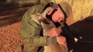 Животные говорят спасибо людям...Animals thanks humans...