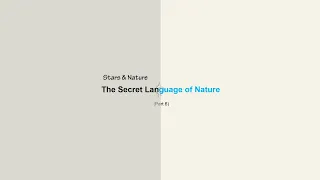 The Secret Language of Nature (6)