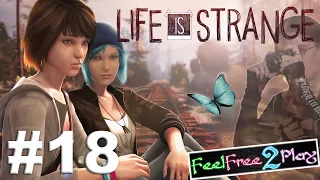 #18 Der Schock am Ende des Tages | Dark Room | Life Is Strange | 100 % | Let's Play