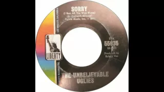 The Unbelievable Uglies - Sorry