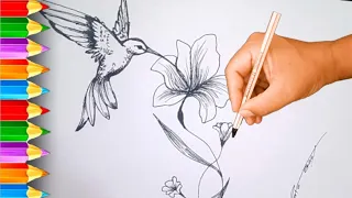 Como desenhar um beija-flor narrado