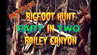 BIGFOOT DOCUMENTARY 2021 - BAILEY CANYON NM BIGFOOT HUNT - PART 2