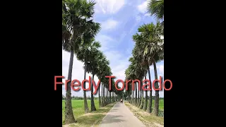 Fredy Tornado Bus Suai BM Dili