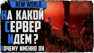 New World. Выбор сервера и причины! Набор в гильдию