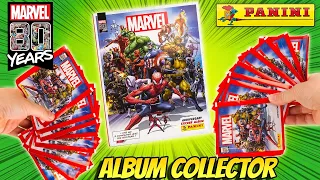 MARVEL 80 ans Album Anniversaire Panini Collector Comics Français Super Héros et Compagnie