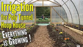 Irrigation for Poly Tunnel Hoop House | Everything is Growing