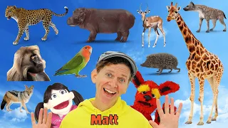 Africa Wild Animals Part 2 - What Do You See? Song  | Find It Version | Dream English Kids