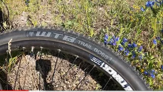 WTB Trail Boss 2.25 Tire - Review