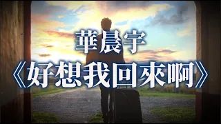 華晨宇《好想我回來啊》動態歌詞『曾經我 悲觀 孤單 遺憾 不堪 感嘆 疲倦 輾轉 難安 看淡 釋然 放慢 長談 期盼 遠看 了斷 勇敢 一半明白 一半混亂』【Pinyin Lyrics Video】