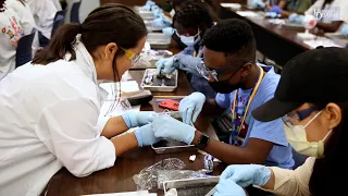Summer camp exposes underrepresented high schoolers to Health Sciences