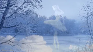 Волшебная музыка зимнего леса. Silent winter evening.